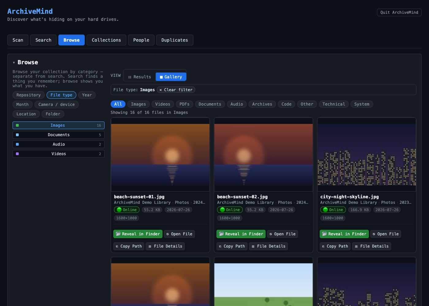 The browse view in gallery mode: the catalogue grouped by file type on the left with counts for Images, Documents, Audio and Videos, media-type filter chips along the top, and a grid of photo cards