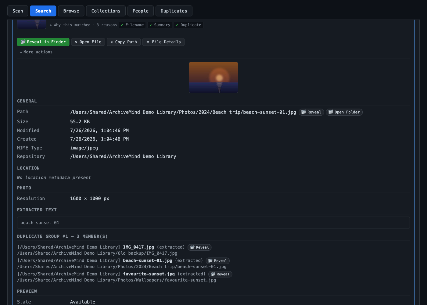 The file details view: a large preview, then general information including path, size, dates, type and repository, honest notes where metadata is absent, extracted text, and a duplicate group listing every copy with its own Reveal action